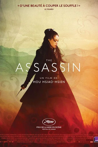 Regarder The Assassin en streaming complet